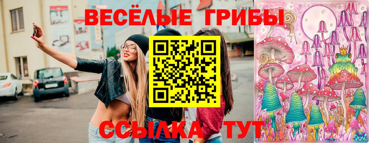 Галлюциногенные грибы Cubensis  Вход с VPN  Донецк  Псилоцибиновые грибы Psilocybe 